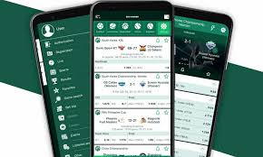 BetWinner Aviator The Thrilling Flight of Online Gaming BetWinner Aviator The Thrilling Flight of Online Gaming