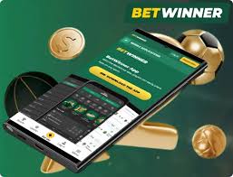 Everything You Need to Know About Online Betting