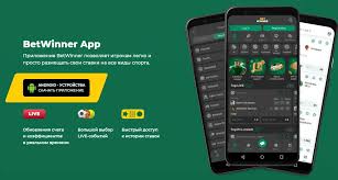 Exploring the BetWinner App Your Gateway to Online Betting