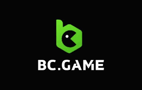 Guide to the BC.Game PK Registration Process Guide to the BC.Game PK Registration Process