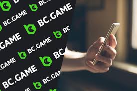 How to Download the BC App Step-by-Step Guide