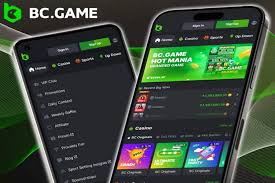 Register and Play A Comprehensive Guide to BC.Game Registration